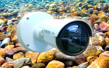 IP-камеры видеонаблюдения - «подводные камни»